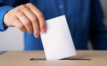 Seçim Sistemleri Nelerdir? Çoğunluk, Nispi Temsil ve Seçim Sistemlerinin Farkları